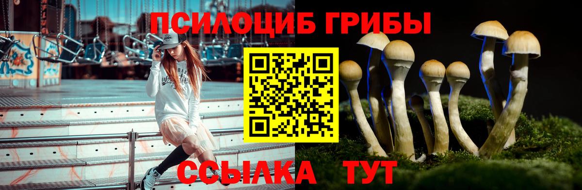 Назрань  Галлюциногенные грибы MAGIC MUSHROOMS  Галлюциногенные грибы Psilocybine cubensis  Вход с VPN 